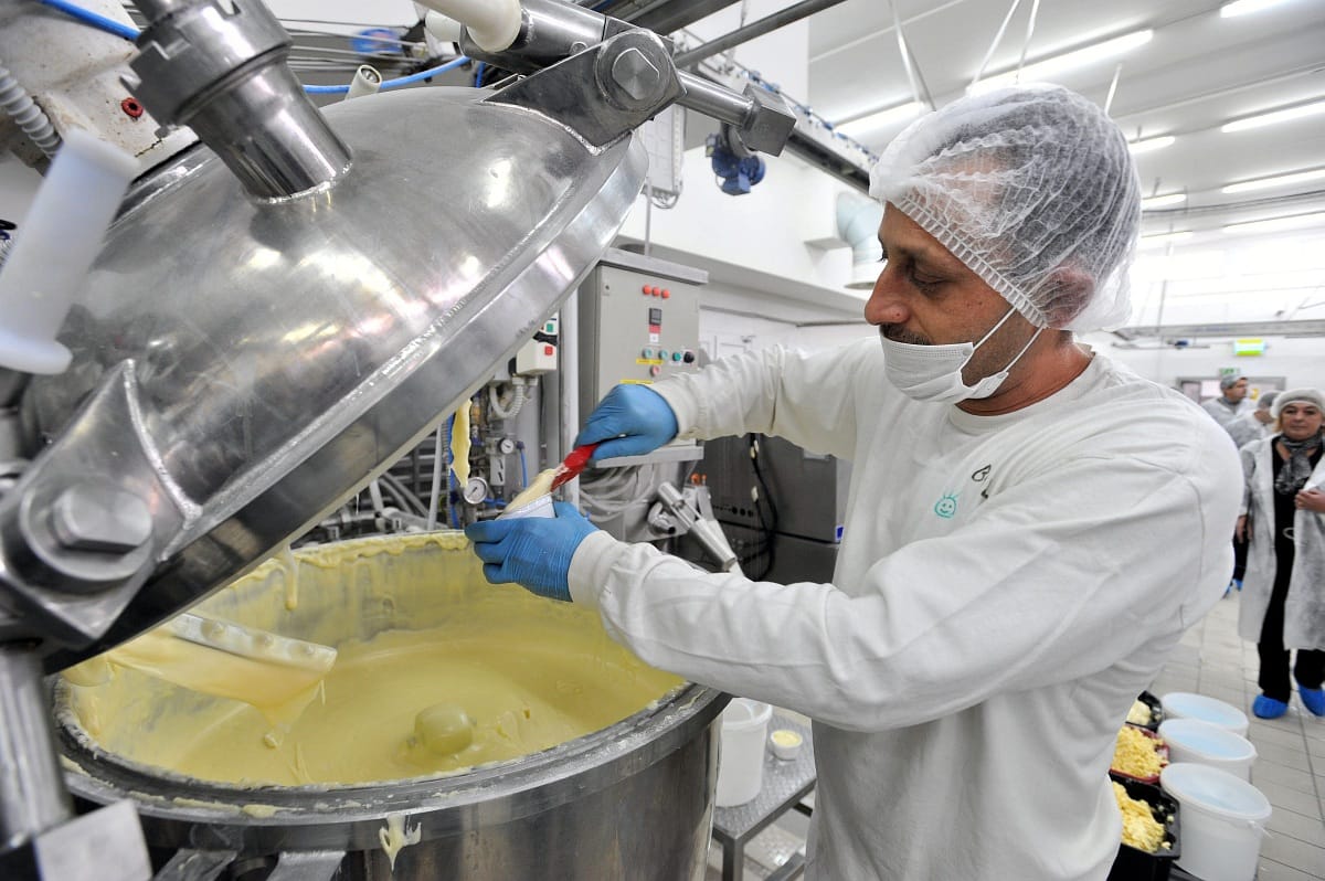 Boldogok a magyar sajtkészítők, megy az export Szaúd-Arábiába