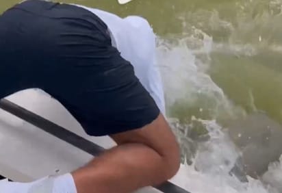 Levideózták, ahogyan egy cápa a kezénél fogva ránt be egy horgászt a vízbe 