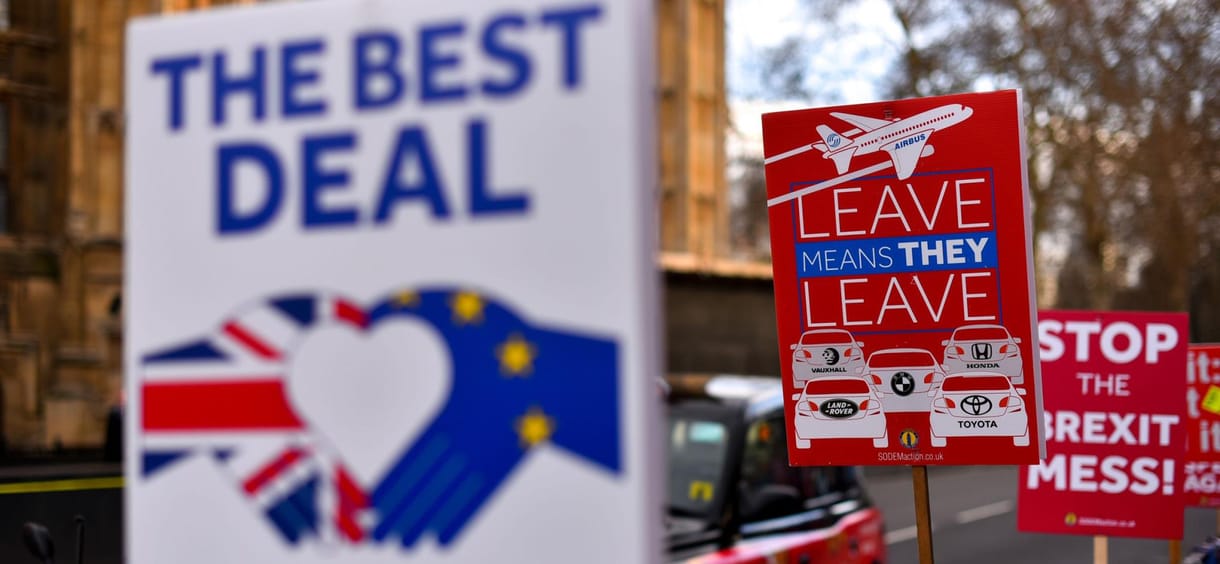 Egy francia miniszter Brexitnek nevezte el a macskáját