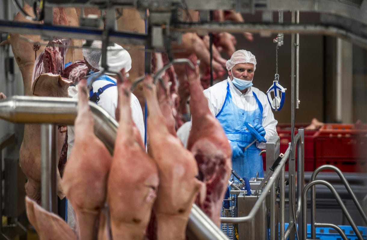 Épp helyrebillent volna a húsipar, amikor kitört a száj- és körömfájás járvány
