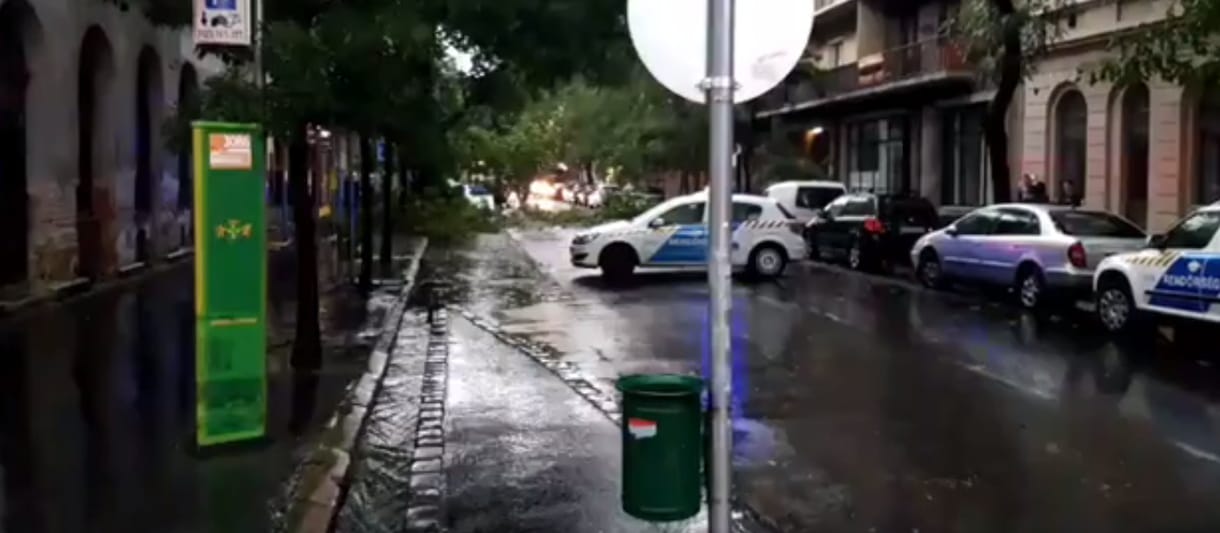 Fát csavart ki a vihar a nyolcadik kerületben, leállt a közlekedés - videó