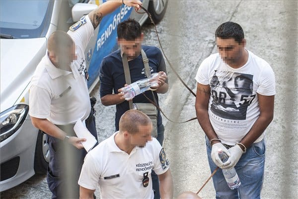 Újabb embercsempészt fogtak a 71 ember halálát követelő ügyben