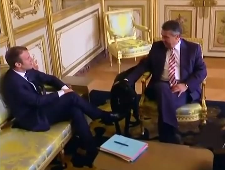 Cuki videón szaladgál a politikusok között Macron még neveletlen kutyája