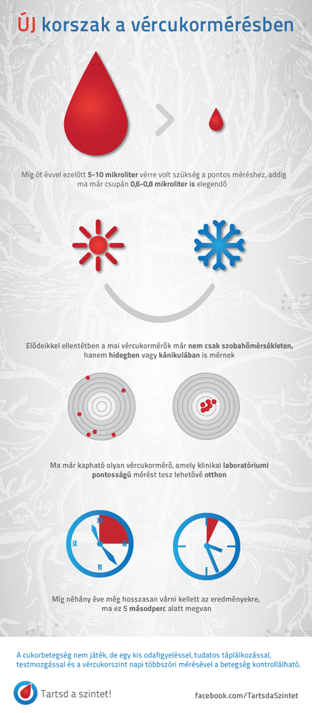 Infografika: milyen vércukormérőt vegyünk?