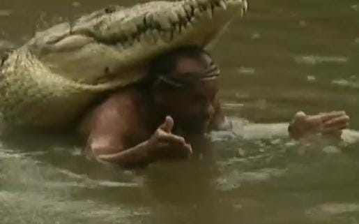 Videó: a krokodil az ember legjobb barátja