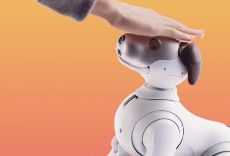 A járvány miatt bezárkózó japánok robotokat kapnak, hogy ne legyenek egyedül