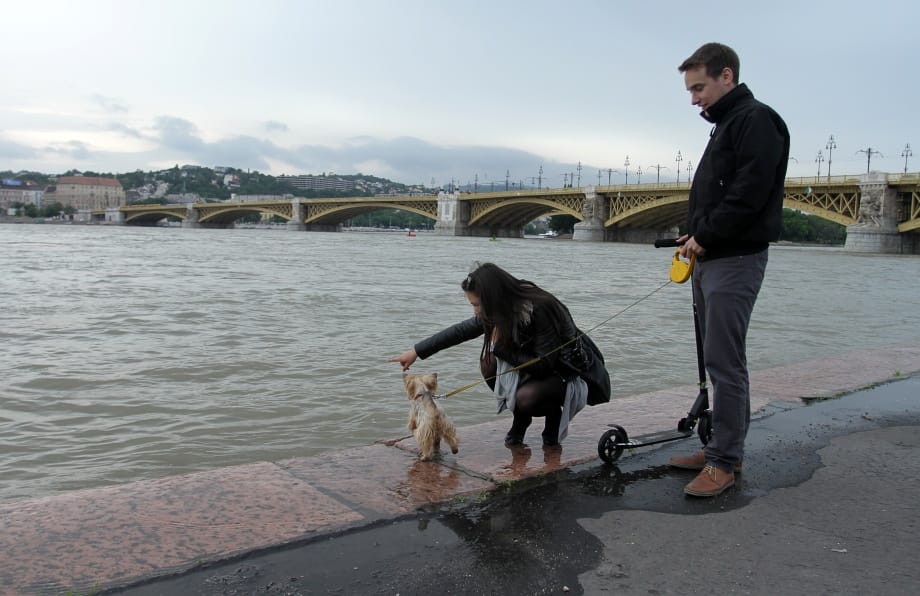 A vártnál is tovább árad a Duna – árvízhírek percről percre