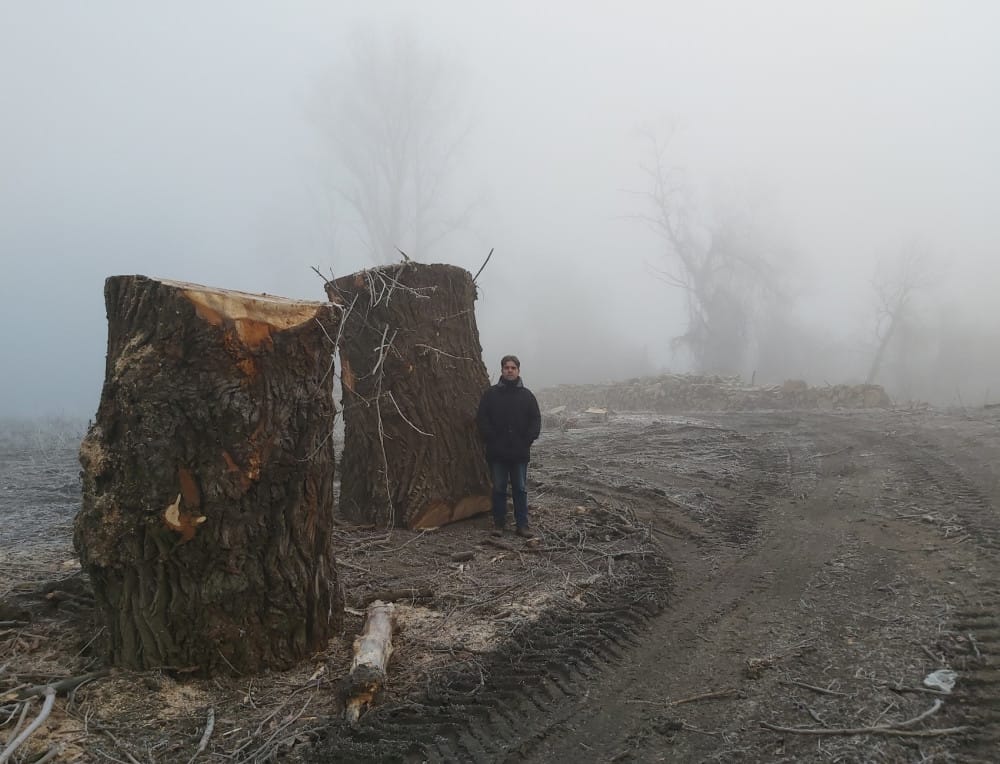 A betevő falat a tét, a kormánynak mégis fontosabbak saját kegyeltjei