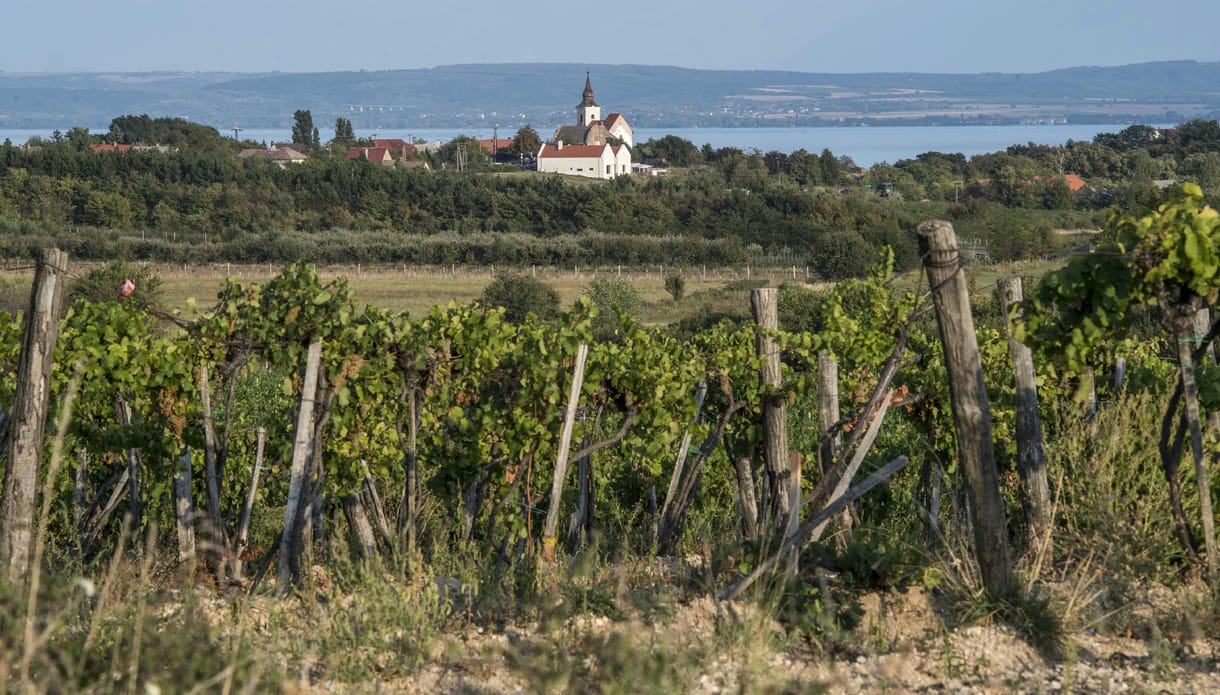 Szabad préda a Balaton-felvidék? Hatalmas beruházásra készül Dörgicsén a magyar McDonald's-tulajdonos