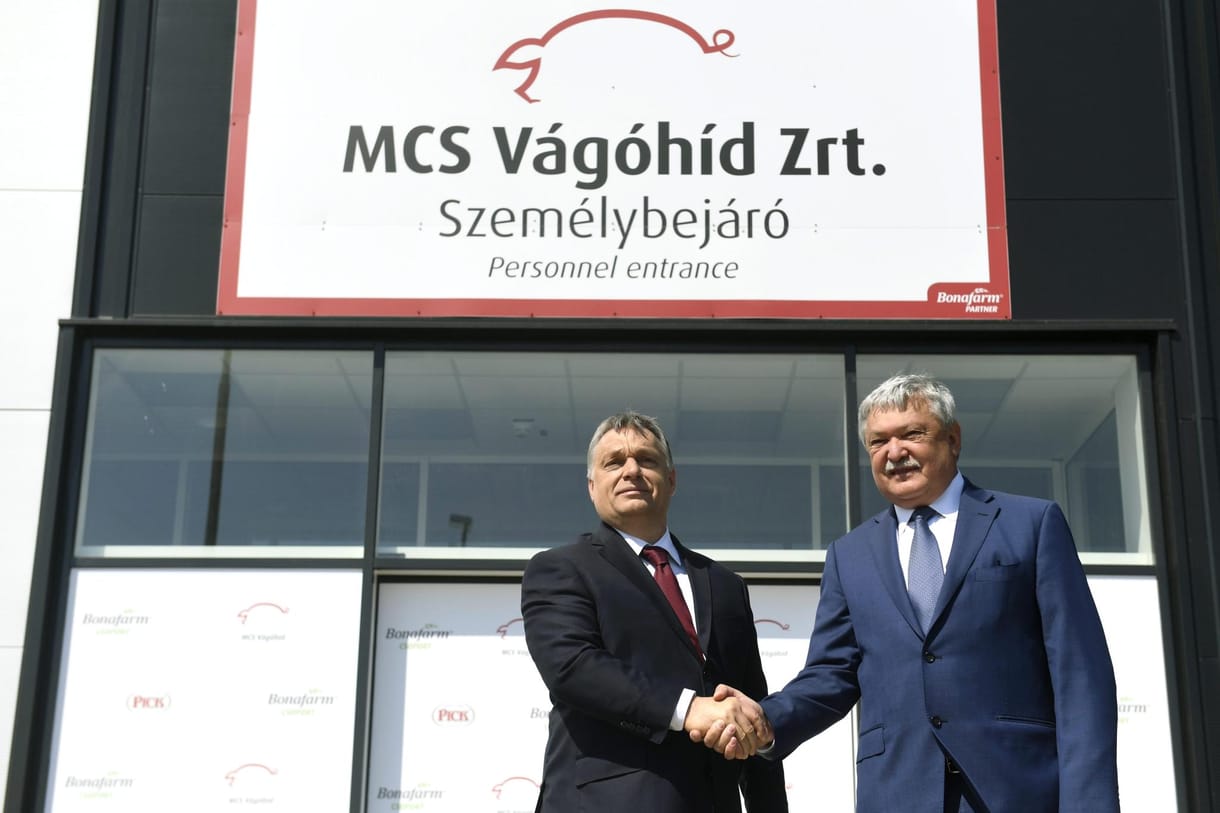 Csányiék vágóhídja miatt Mohács környékén több a disznó