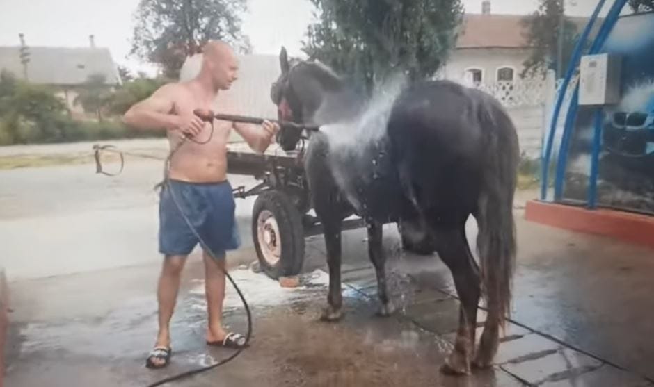 Autómosóban hűsítettek egy lovat Romániában – videó