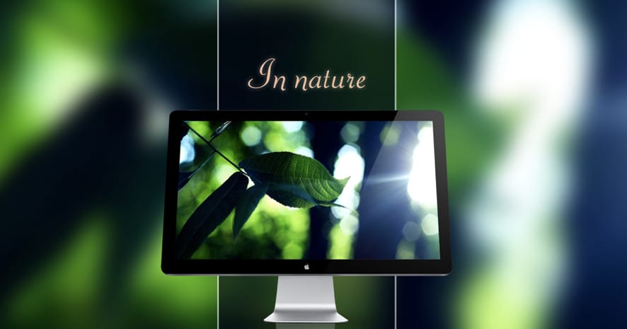 Mai háttérkép: In nature Wallpaper