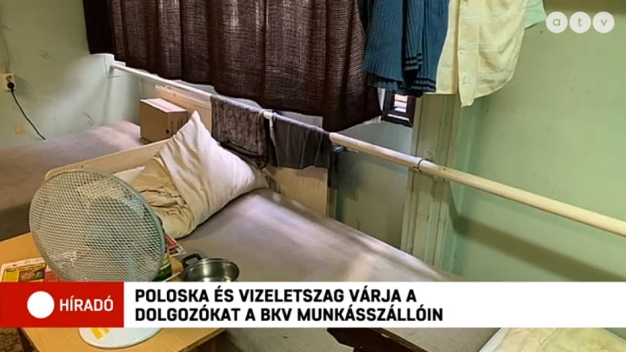 Poloska és vizeletes matrac várja a BKV munkásszállójára érkezőket