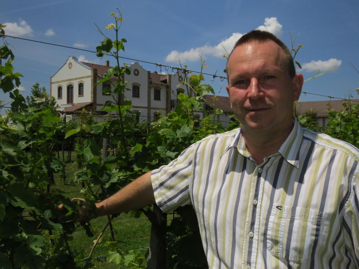 A Koch Borászat lett az Év Pincészete
