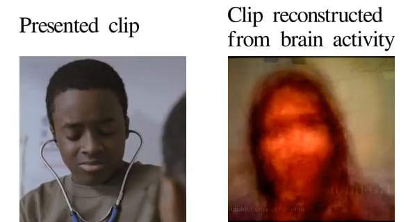 A nap videója: képek visszaállítása agyi aktivitás alapján
