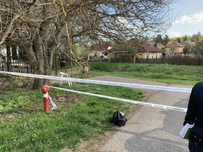 Őrizetbe vették a fűben magára hagyott újszülött édesanyját