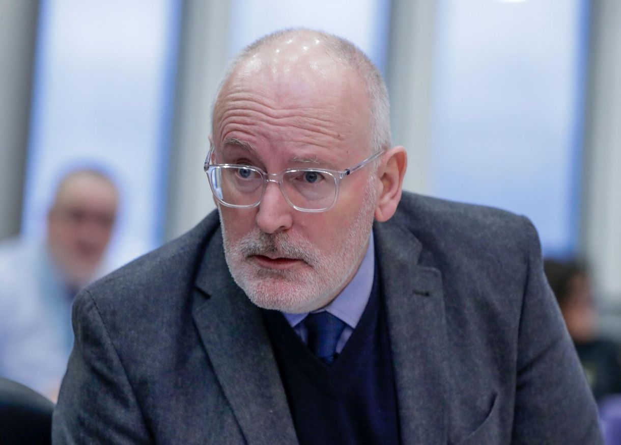 Timmermans beleszaladt a Vadhajtásokba: