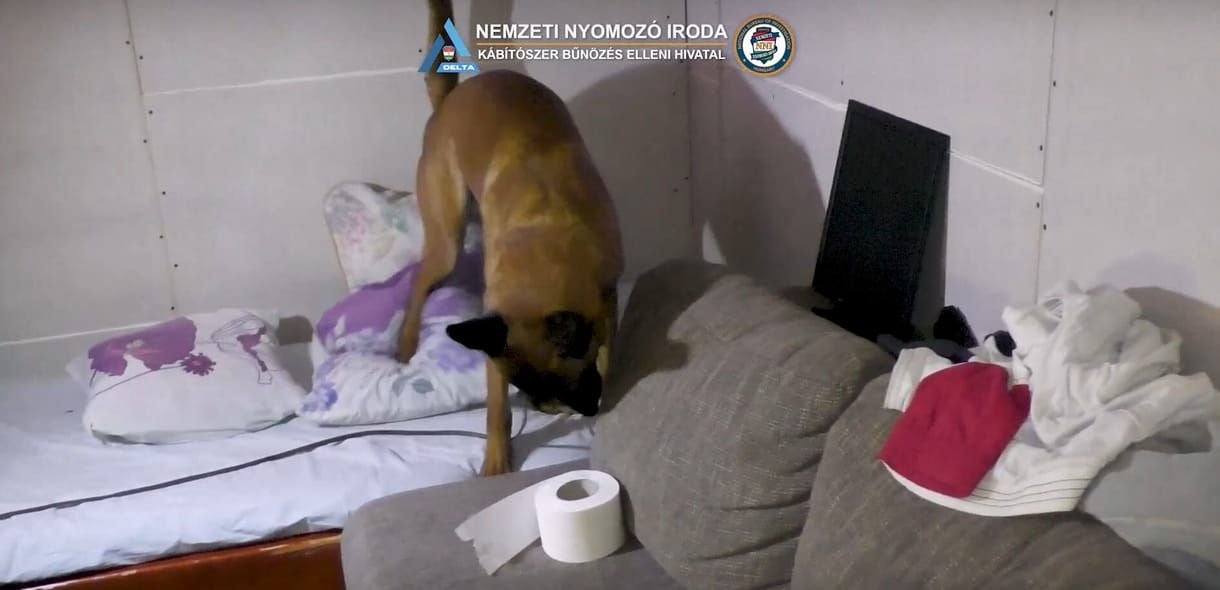 16 kiló speedet foglaltak le a rendőrök egy drogbandánál