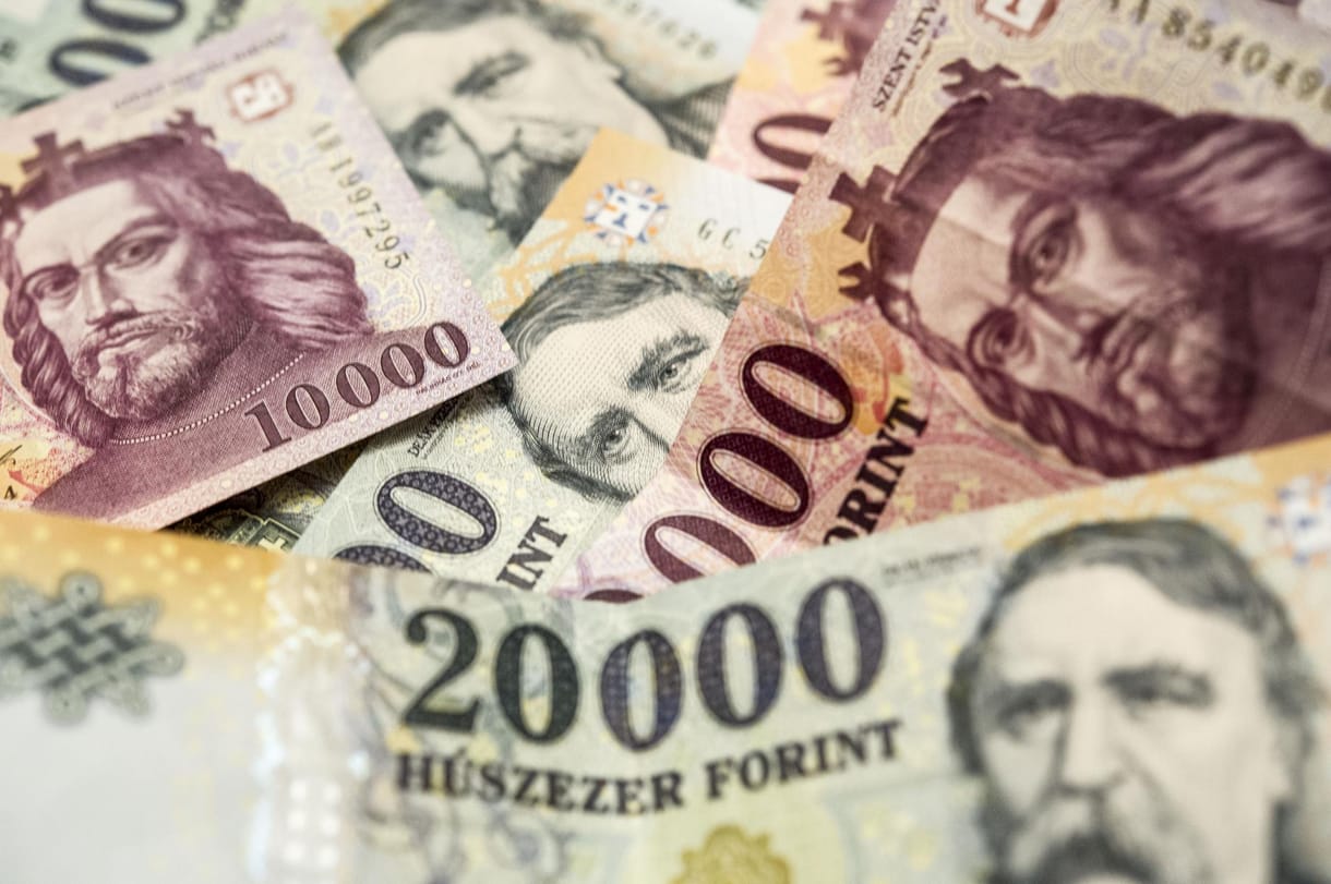 Osztódással szaporodik az egyik leggazdagabb magyar cége
