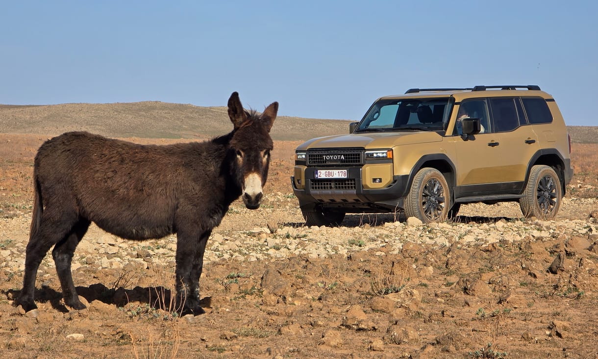 Ide az összes kátyúval! Afrikában kínoztuk meg a vadonatúj Toyota Land Cruisert