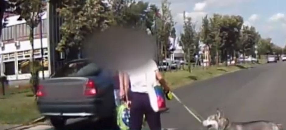 Naponta 2-3 embert gázolnak el zebrán. Ez az egyik legtipikusabb, miért – videó