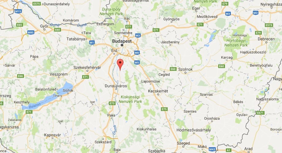 Legalább 60 kutya pusztult el egy állatmenhely-tűzben