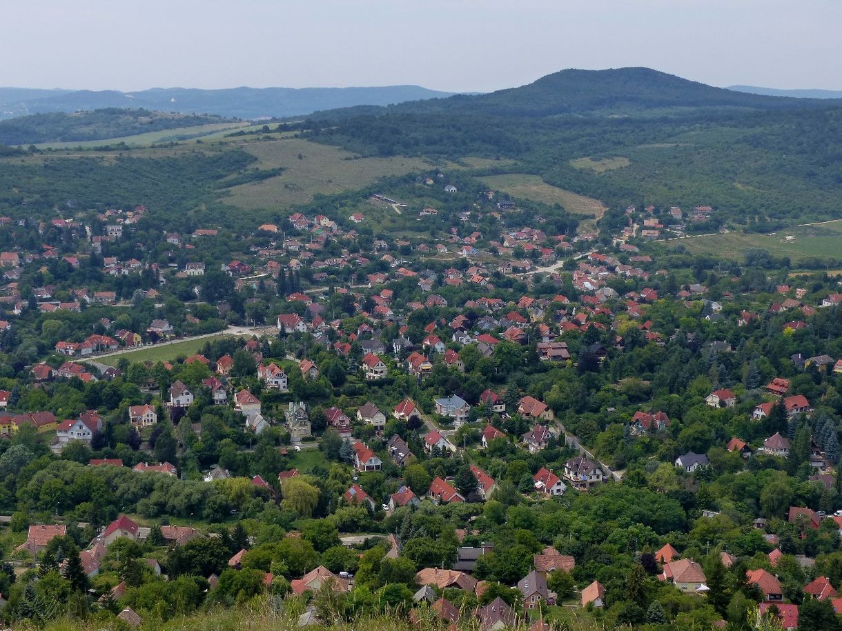 Piknikpavilon és grill-sörkert is épülne Csobánka ősfás területére