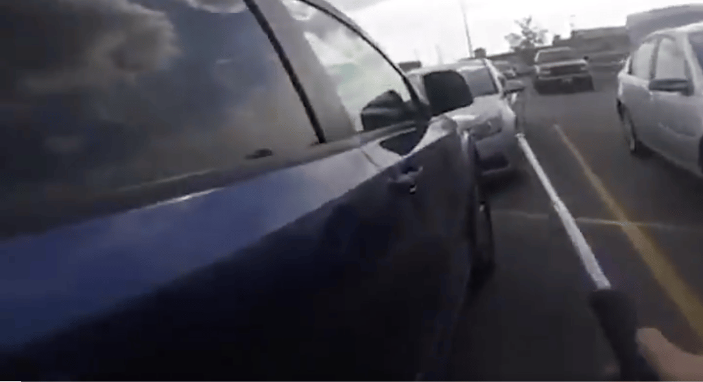 Viperával mentett gyerekeket a rendőr – videó