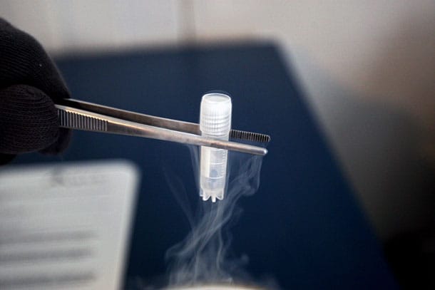 Kevésbé termékenyek az egészségtelen étrendet követő fiatalok