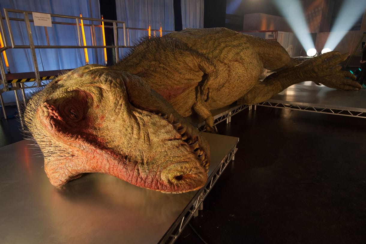 Kutatók szerint border collie méretűek voltak a T-rex-bébik