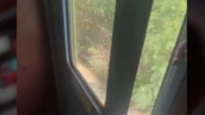 Nyitott ajtóval közlekedett egy vonat Kőbánya-Kispest és Dabas között – videó