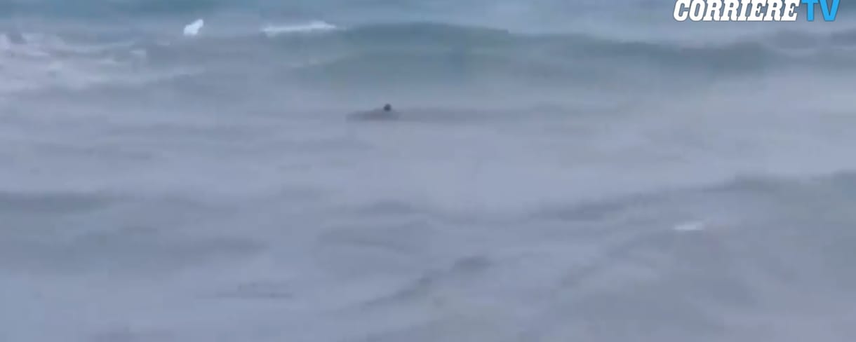 A strandolóktól pár méterre úszkált egy jókora cápa Dél-Olaszországban – videó