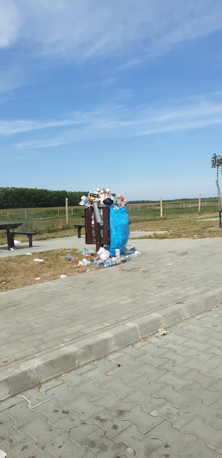 Csordultig telt kukák már hétfő délelőtt az M5-ös pihenőjében. Hova rakjuk a szemetet?