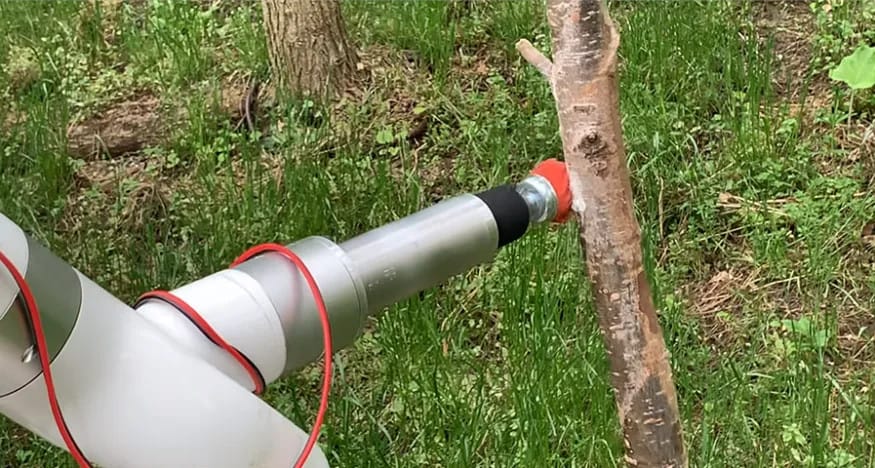 Robothalálosztóval számolnának le az invazív kabócával egyetemisták, mélytanulást is bevet az önálló eszköz