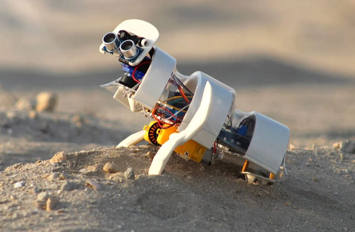 Fel-alá mászkál a dubaji sivatagban ez az apró robot, magokat ültet