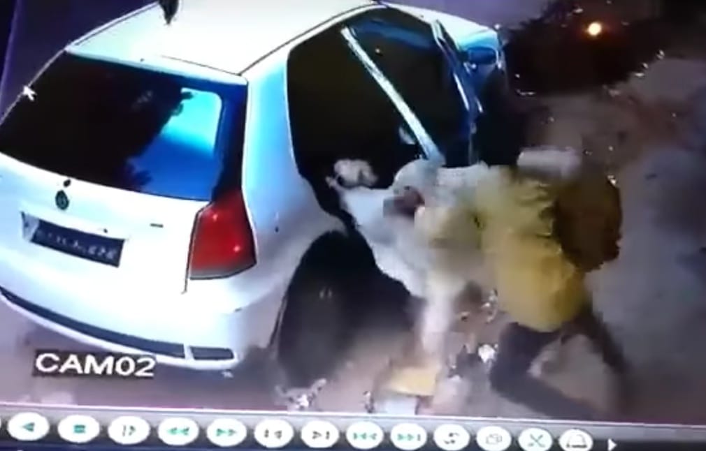 Ilyen nincs: a kocsi hátsó ülésére tuszkolták be a lopott tehenet – videó