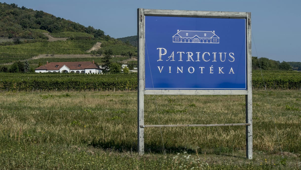 Előkészítették, feltálalták: most már a tokaji borászatból is Tiborcz Istvánhoz dől a lé