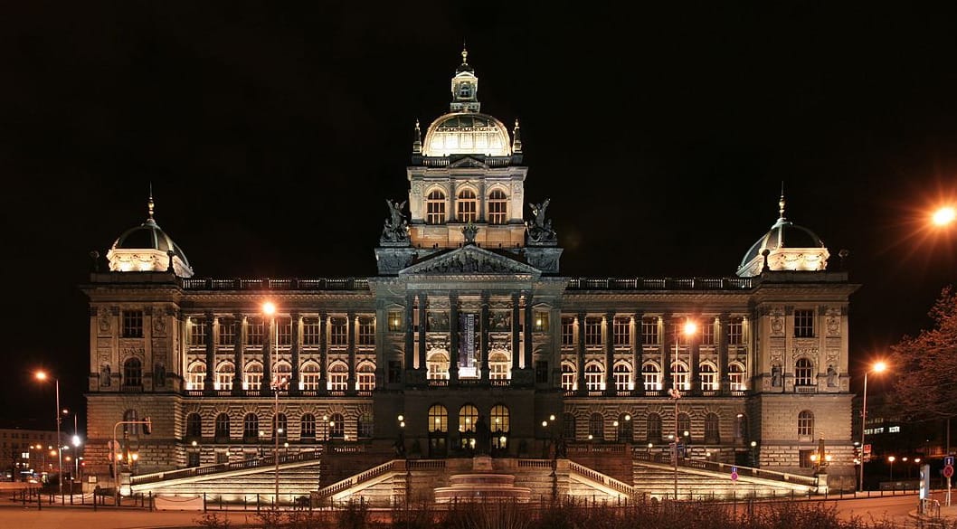 150 év után most találták meg a prágai Nemzeti Múzeum raktárában a legrégebbi növényfosszíliát