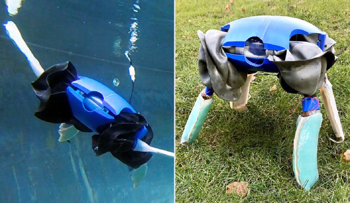 Elkészült a sokéltű robot: kutya, teknős és hal egyszerre