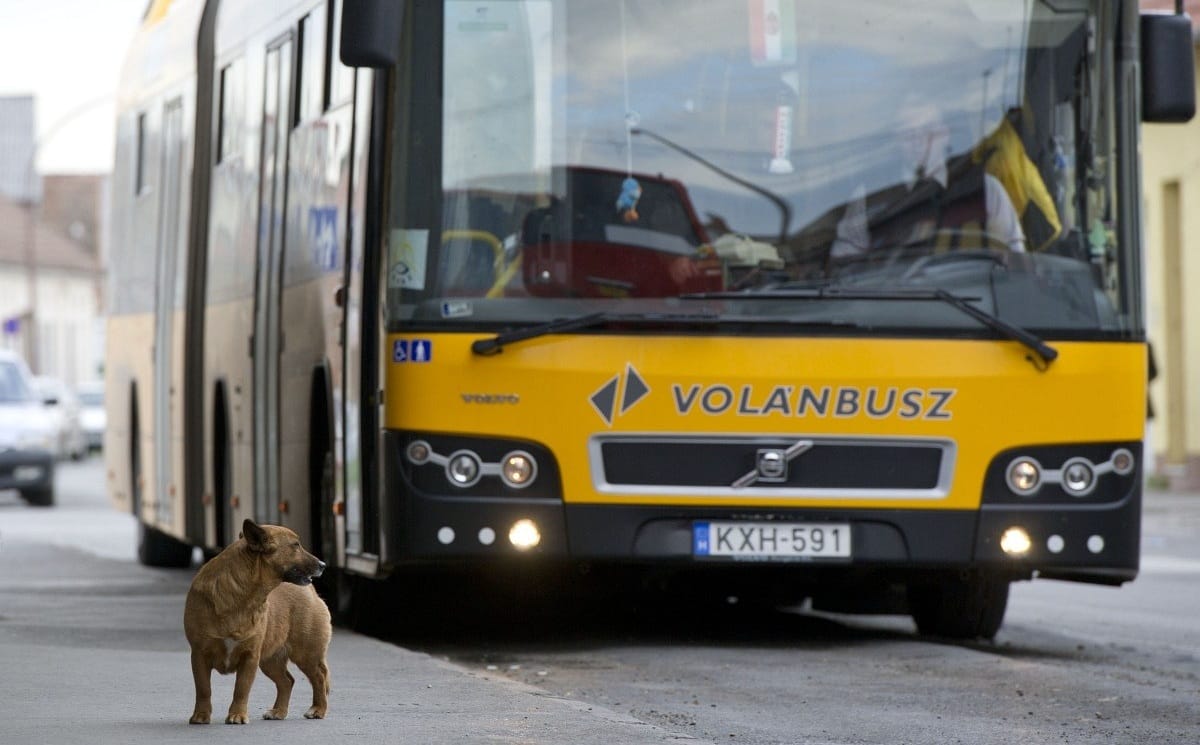 Ezt mindenkinek tudnia kell, aki szeptemberre vesz helyközi bérletet