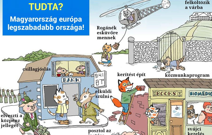 Mém: mit művelnek Tesz-vesz város lakói Orbán-Magyarországon?