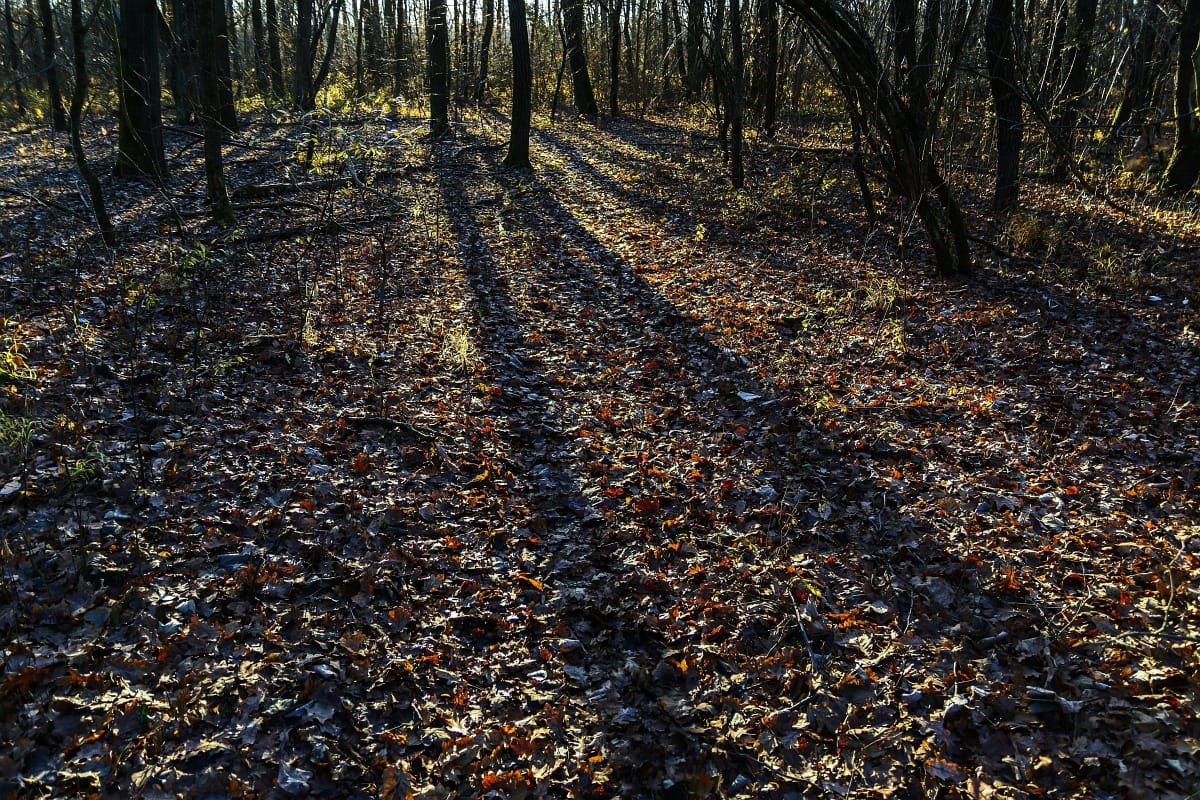 Kicsit megnyugszik az időjárás