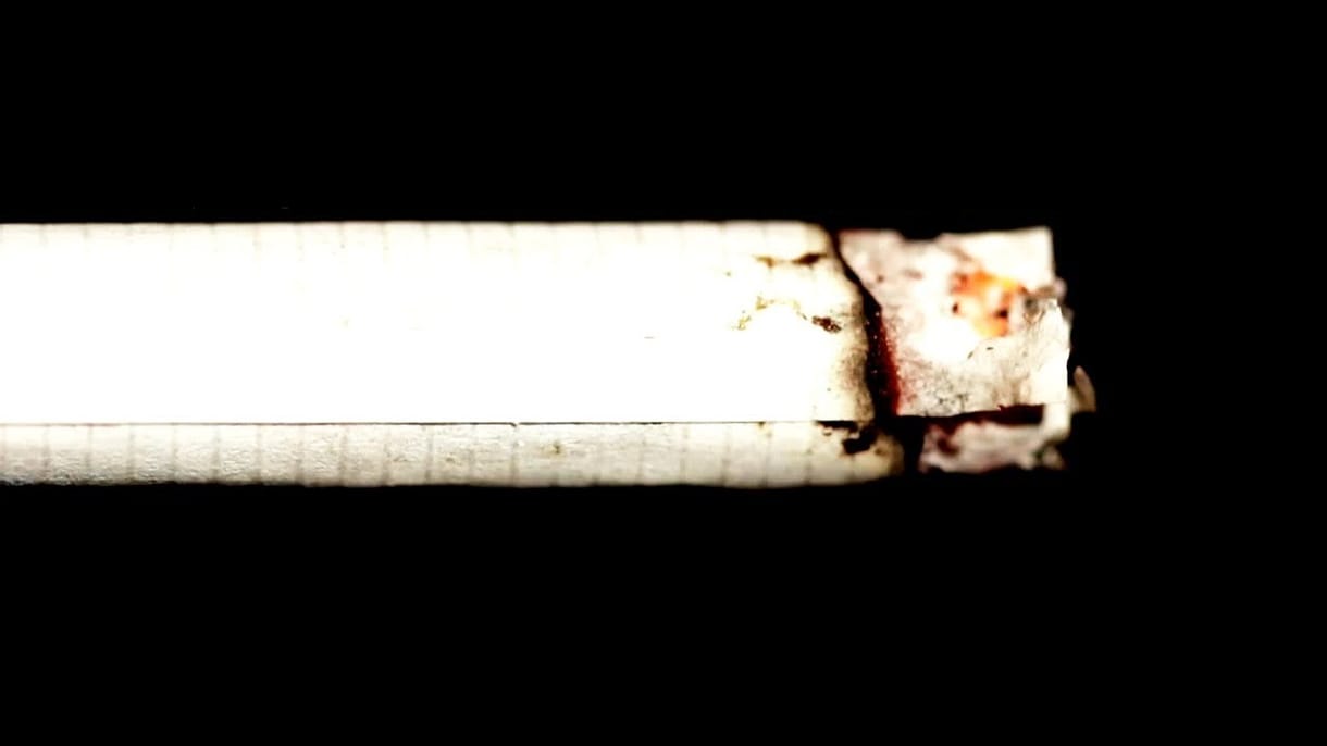 2100 cigarettát szívattak el egy robottal, és csúnya dolgok kerültek elő a csikkekből
