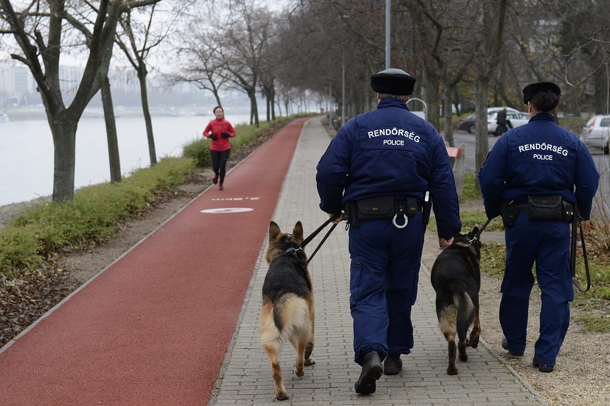Újlipótvárosban is verekedett, később pedig szökni próbált a margitszigeti támadó