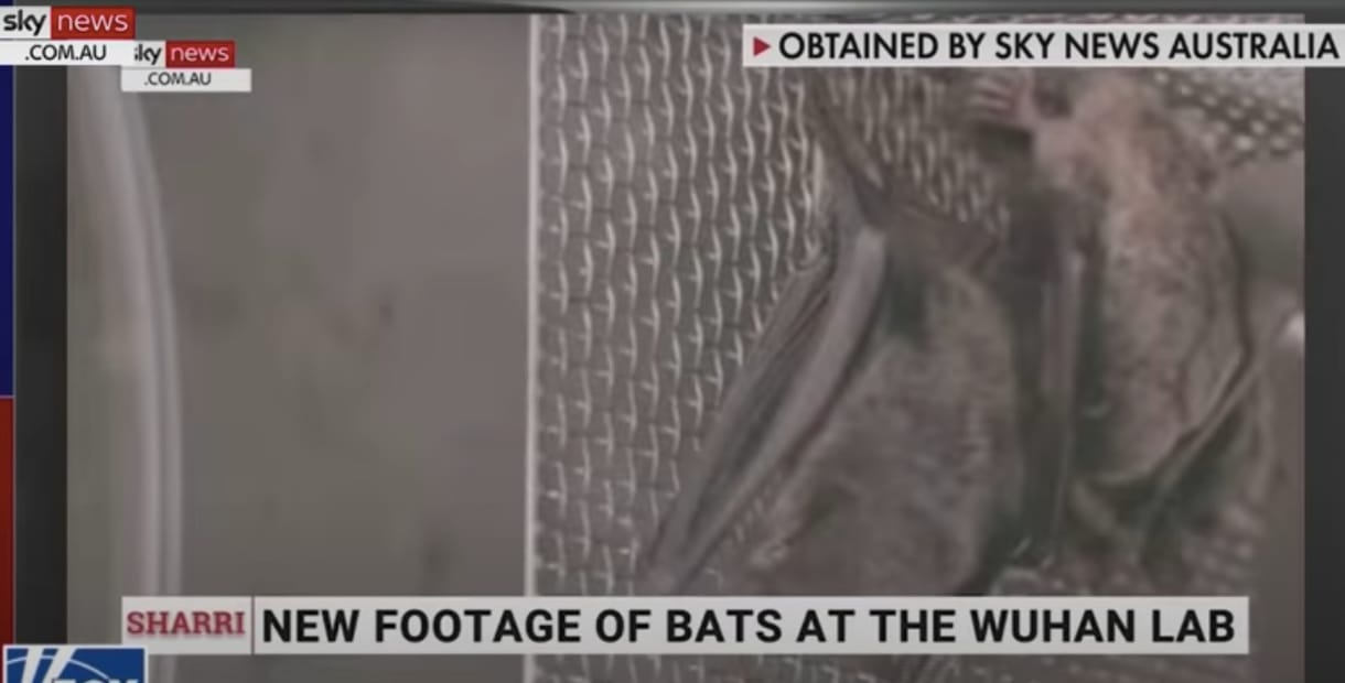 Sky News: Ez a videó bizonyítja, hogy Kína nem mondott igazat a koronavírus eredetéről