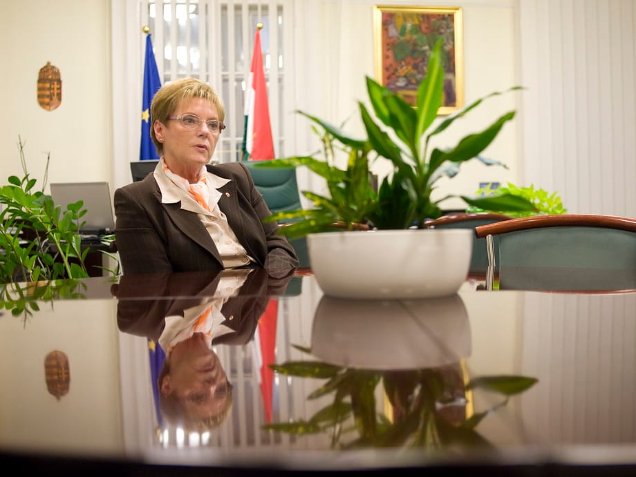 Hoffmann felülvizsgálná az állami képzést is