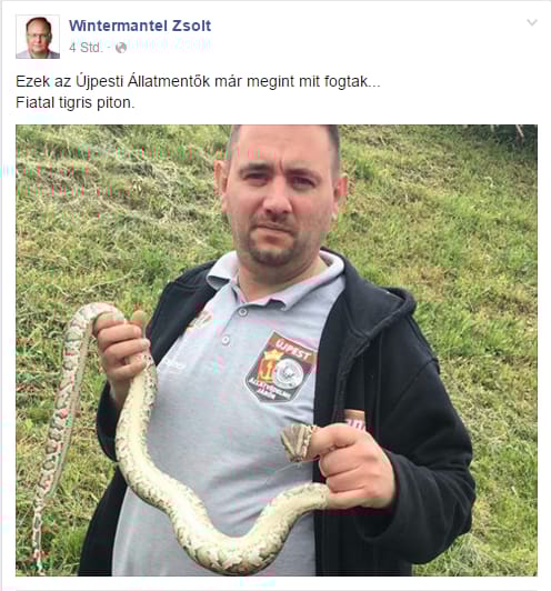 Félreértett pitonos posztja miatt reklamált Wintermantel