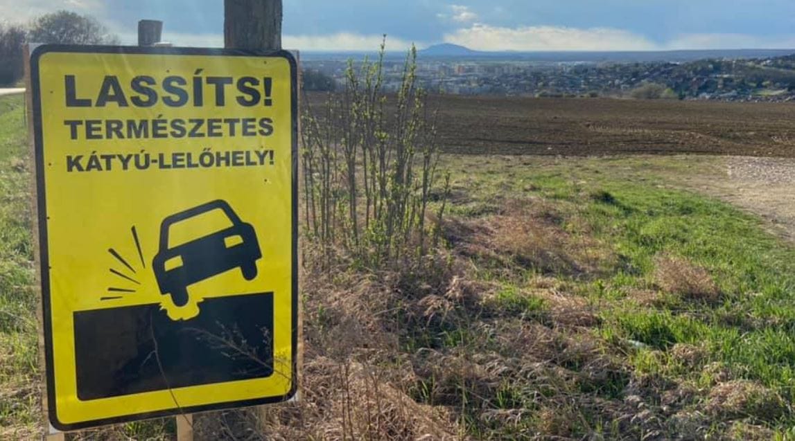 Ön örökbe fogadna egy kátyús utat?