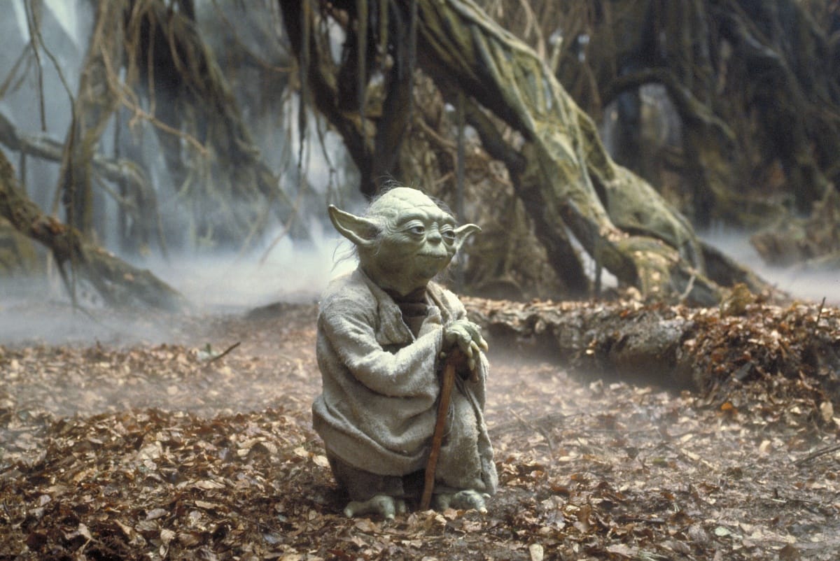 Van szabad másfél órája? Relaxáljon Yoda bolygóján!