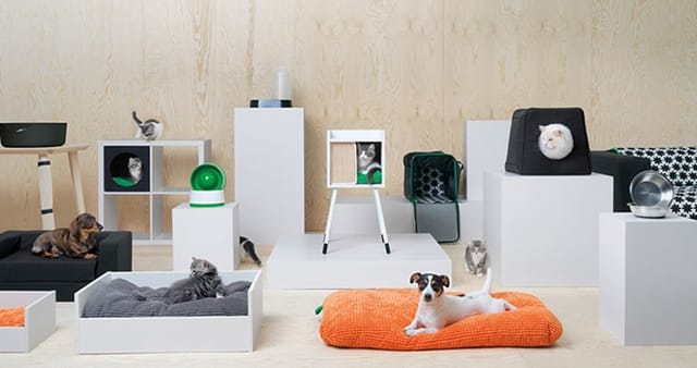 Hamarosan a kutyáknak is lehet bútort venni az IKEA-ban